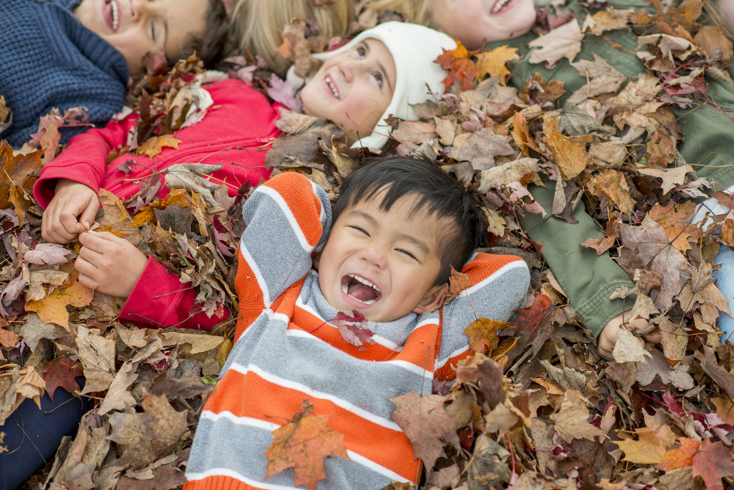children in leaves laughing