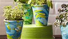 planter pots decorated with blue and green nail polish