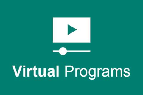 Virtual Programs